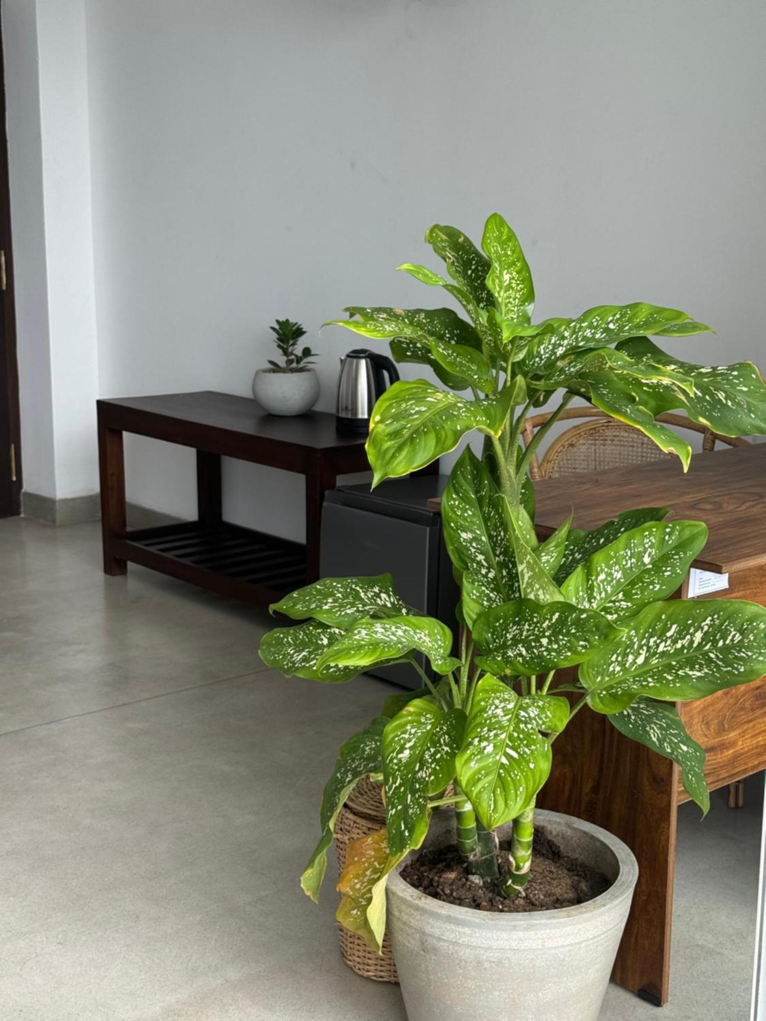 Sapiens Home - Weligama Bay Ngoại thất bức ảnh