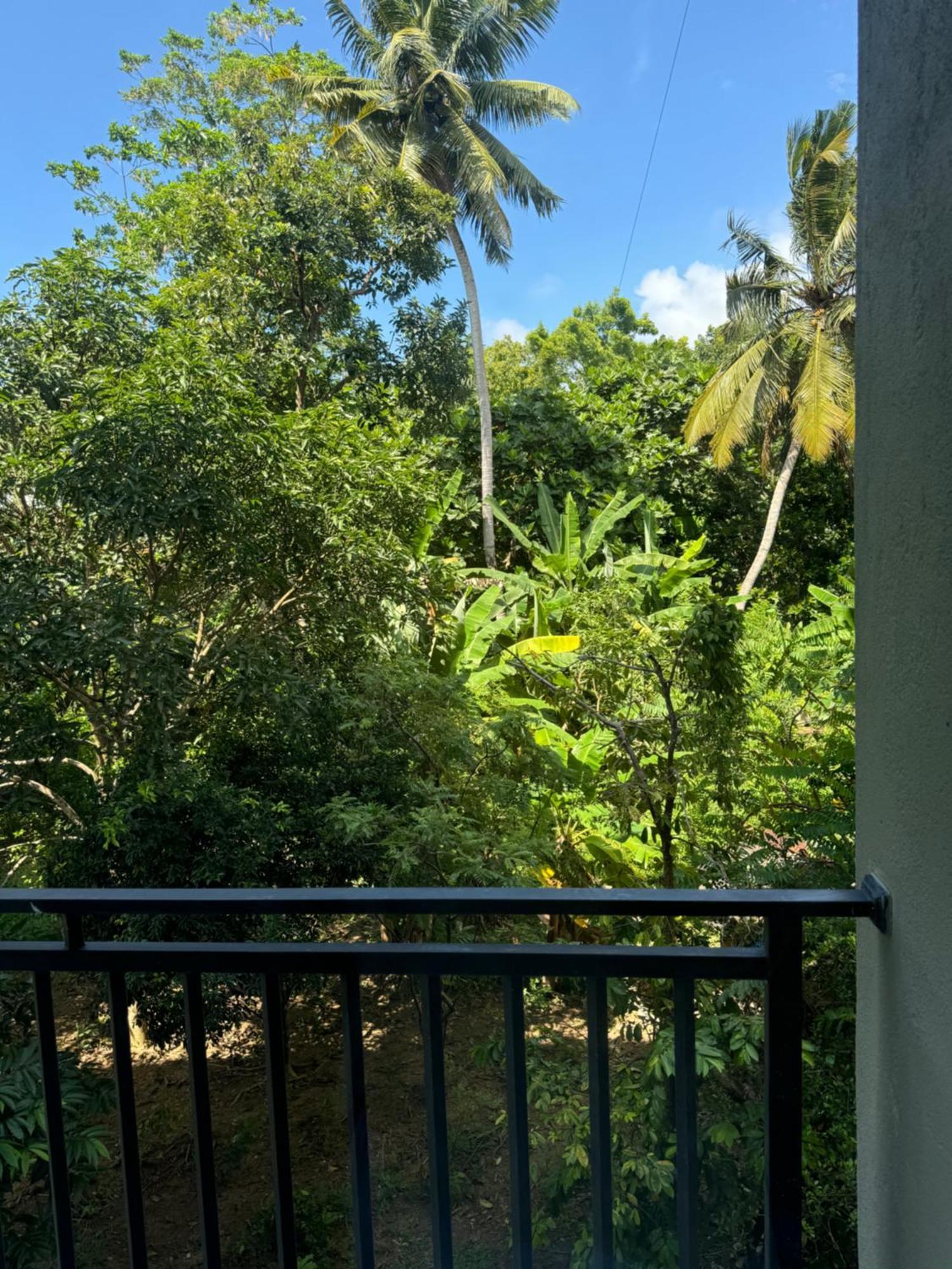 Sapiens Home - Weligama Bay Ngoại thất bức ảnh